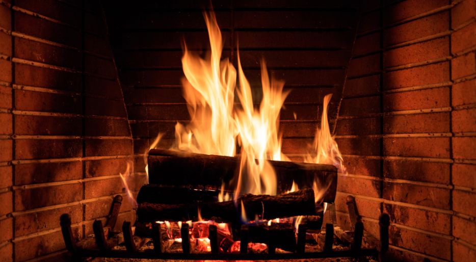 Quel bois ne faut-il pas brûler dans une cheminée ou un poêle ?