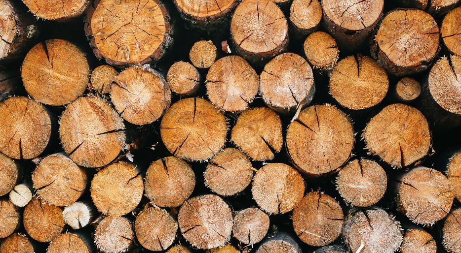 Le bois humide et ses problèmes de combustion