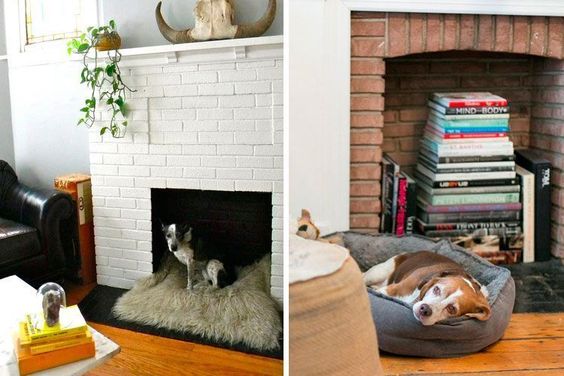 Espace idéal pour votre animal de compagnie : la cheminée