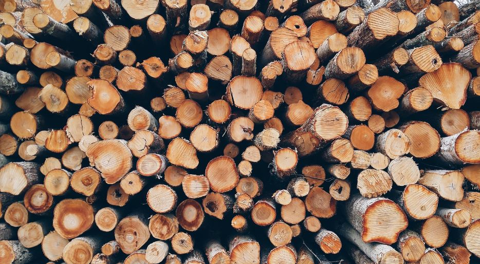 Pourquoi acheter du bois de chauffage au printemps et en été ?