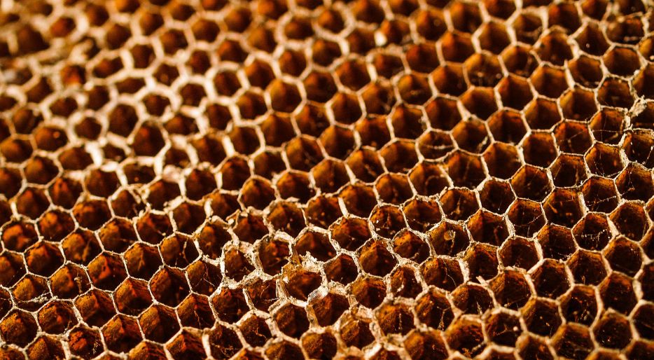 Comment se débarrasser des abeilles dans une cheminée ?