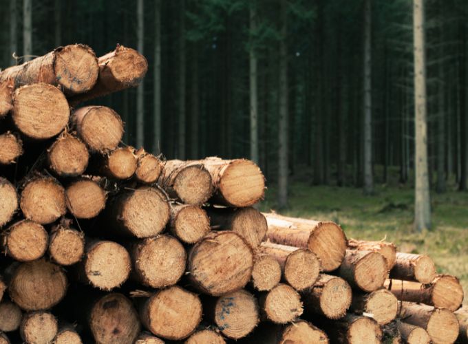 Quelle quantité de bois utiliser quotidiennement dans mon poêle à bois?