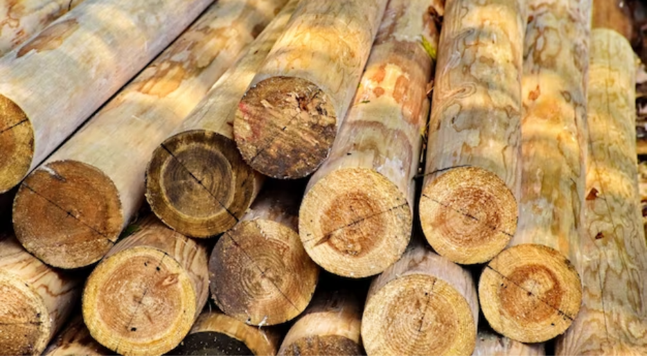 Utilisation de bûches de bois compressé : innovation dans les combustibles pour poêles à bois