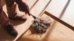 guide pour éviter le dépoussiérage de la maison