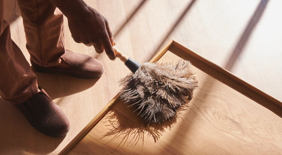 guide pour éviter le dépoussiérage de la maison